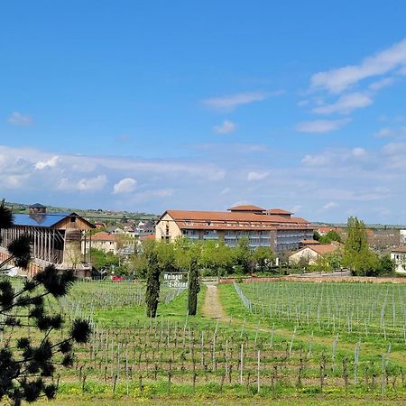 Ihr Bett Mit Blick Auf Die Weinberge Bad Dürkheim Buitenkant foto