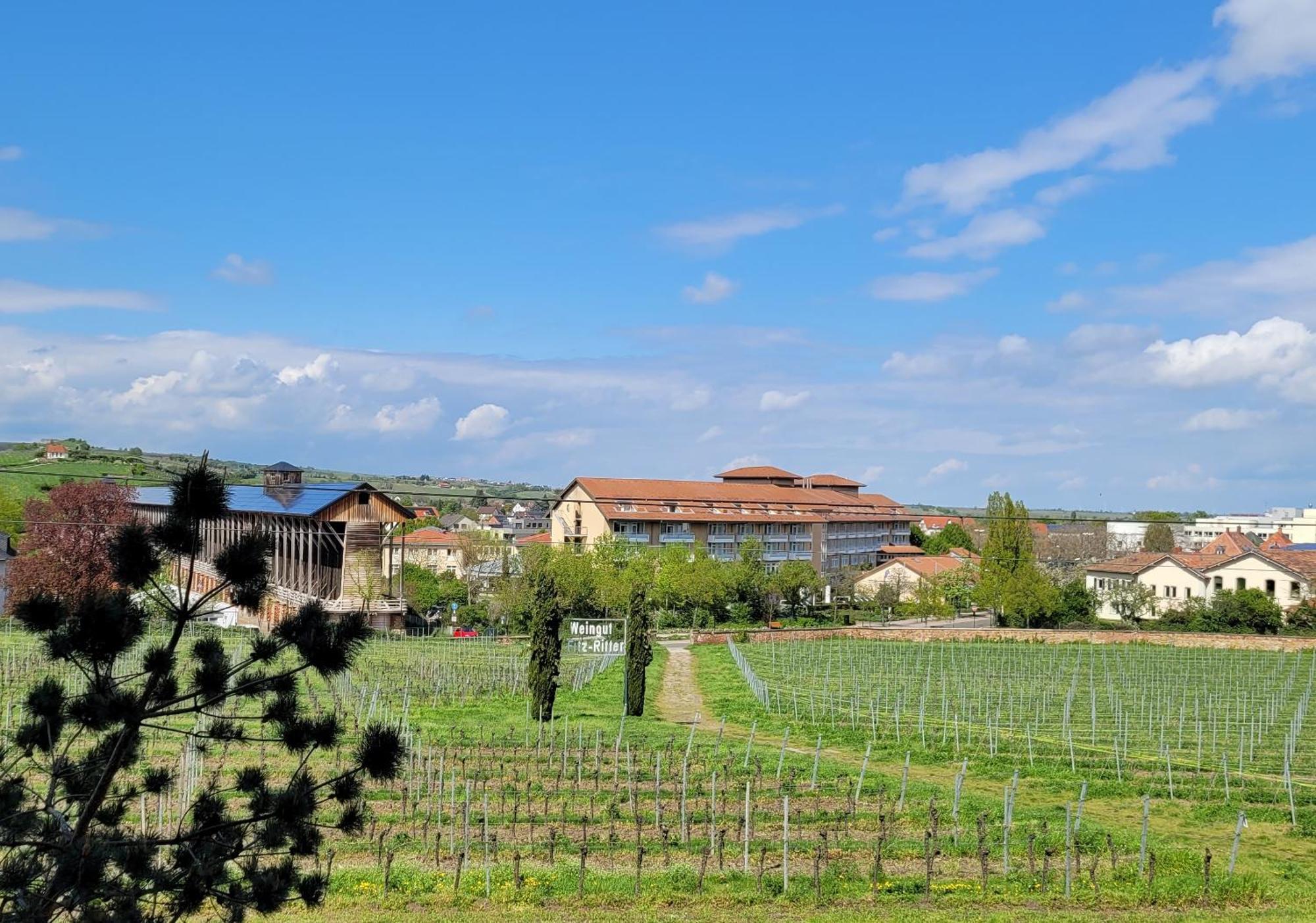 Ihr Bett Mit Blick Auf Die Weinberge Bad Dürkheim Buitenkant foto