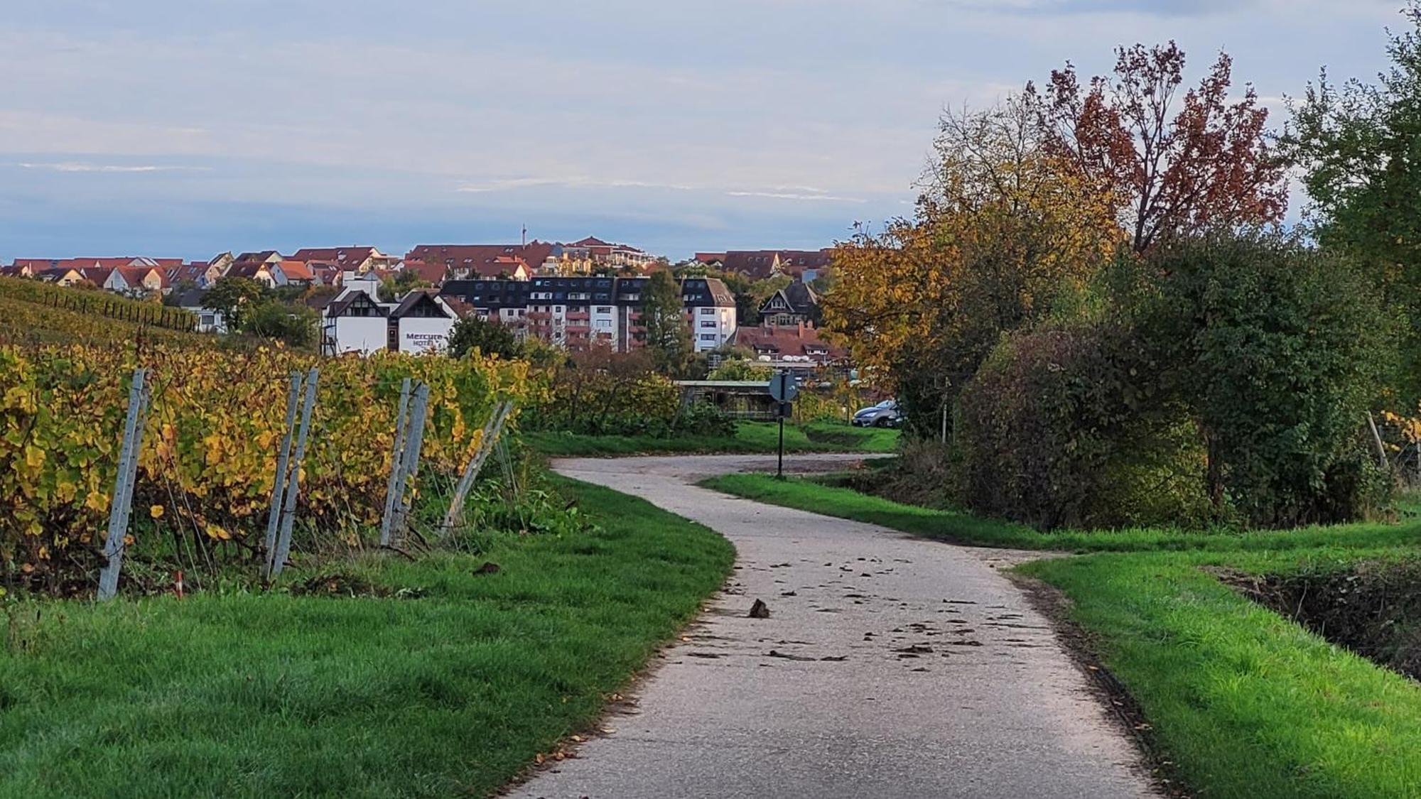 Ihr Bett Mit Blick Auf Die Weinberge Bad Dürkheim Buitenkant foto