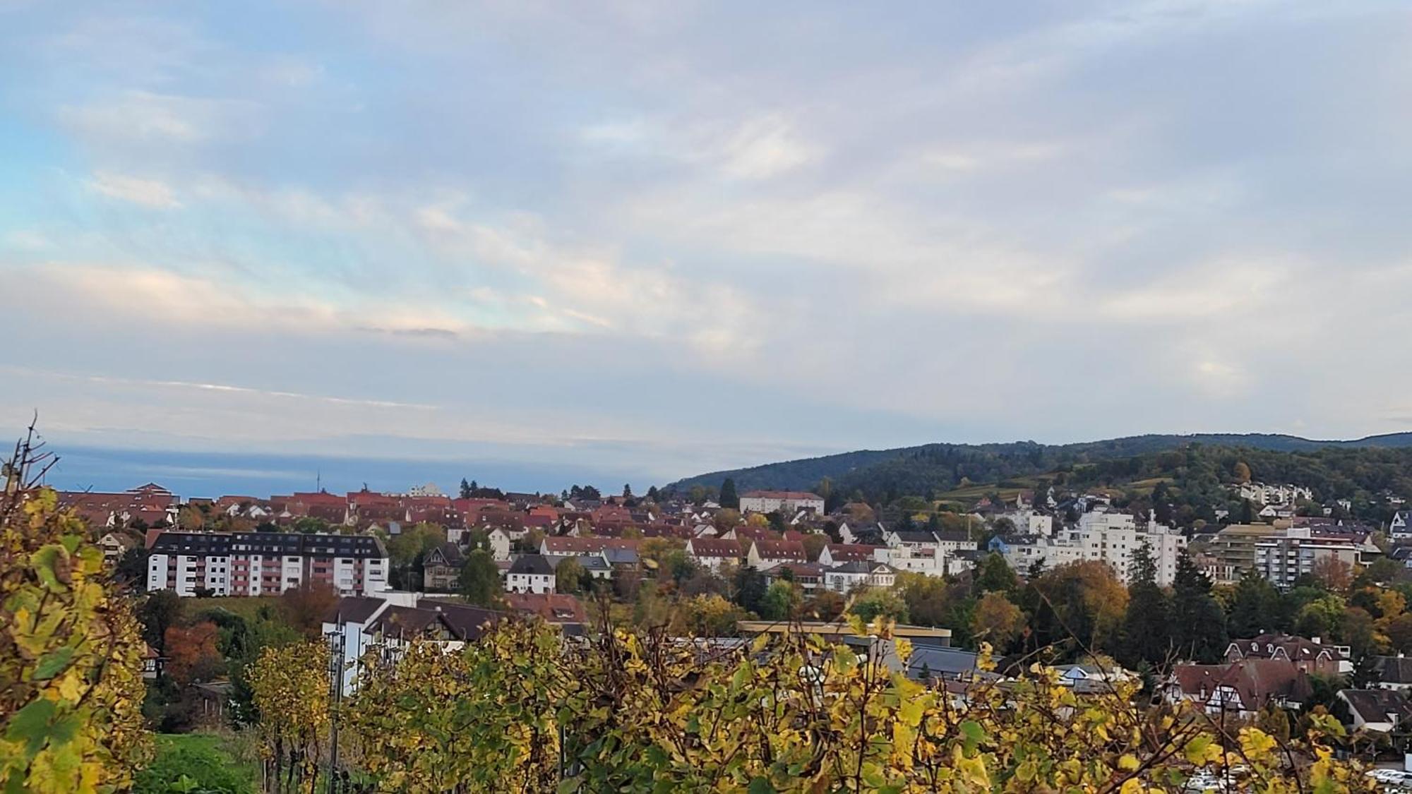 Ihr Bett Mit Blick Auf Die Weinberge Bad Dürkheim Buitenkant foto