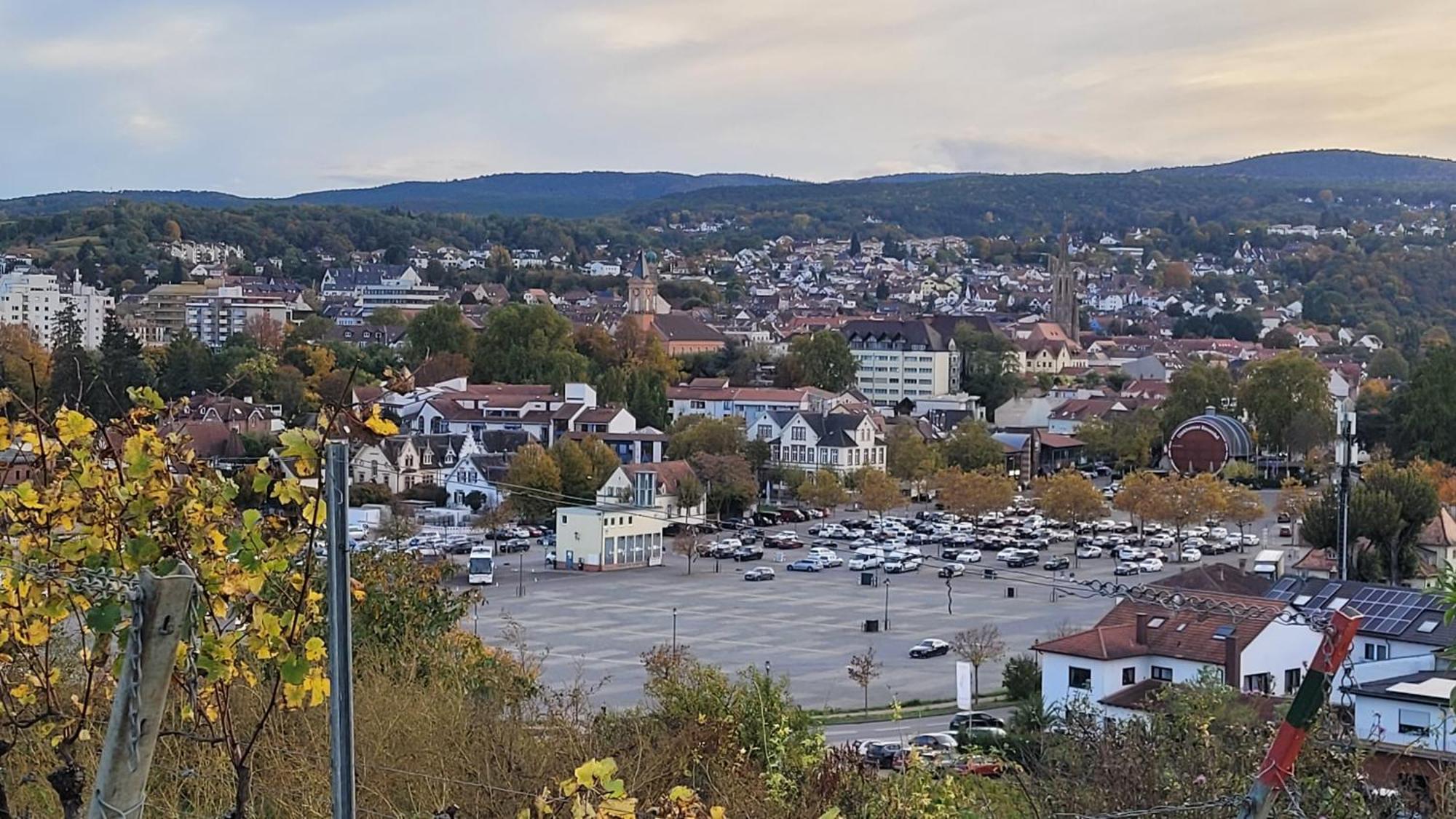 Ihr Bett Mit Blick Auf Die Weinberge Bad Dürkheim Buitenkant foto